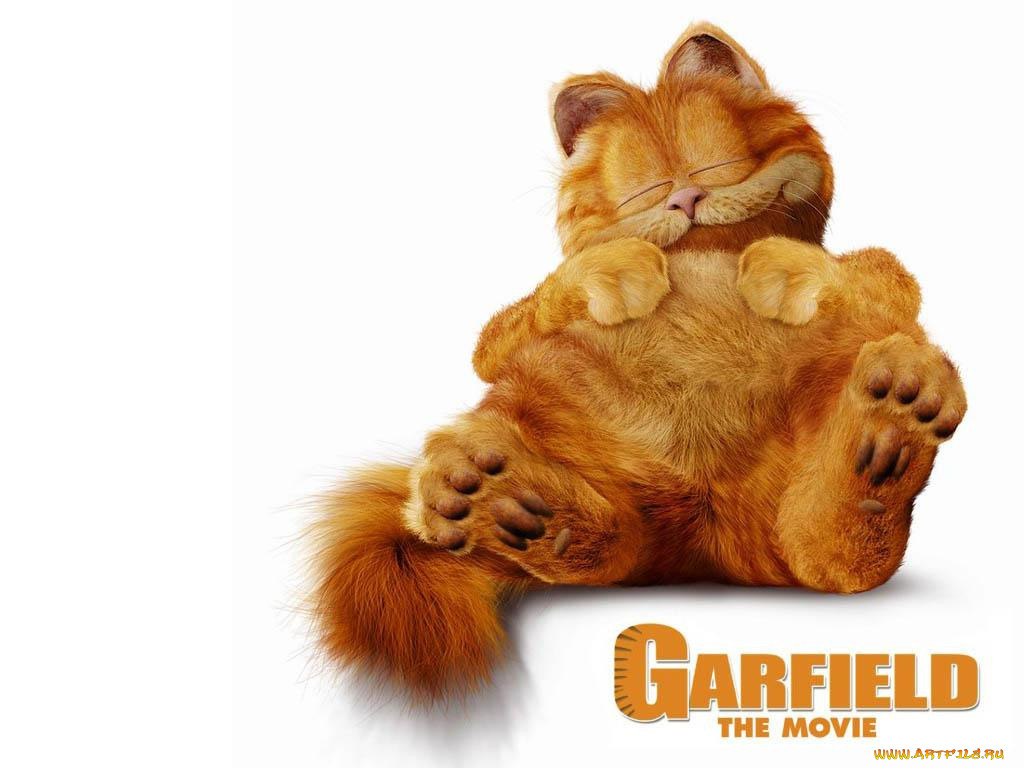 , garfield